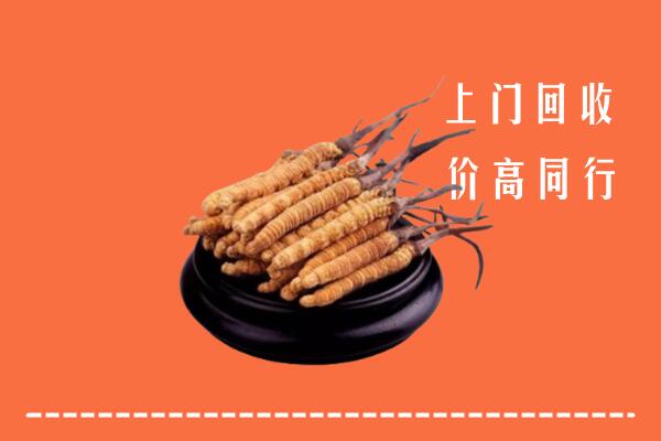 高价求购：黄石市回收散虫草