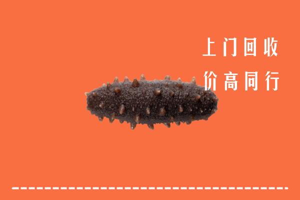 高价求购：黄石市回收海参