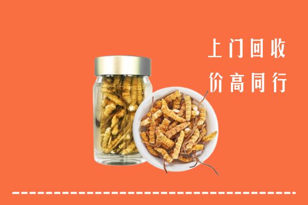 黄石市回收冬虫夏草
